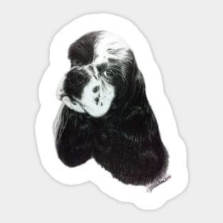 Steevee Parti Cocker Spaniel Sticker